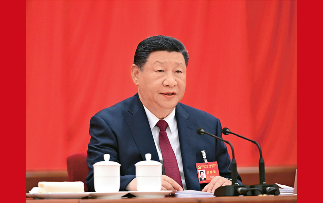 习近平：学习好贯彻好党的二十届四中全会精神