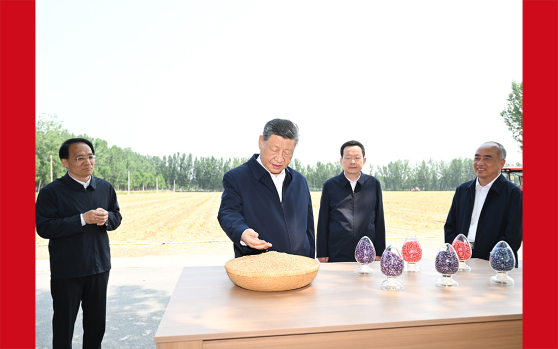 习近平在山东德州考察时强调 以扎实举措推进农业农村现代化 用勤劳和智慧创造更加美好生活